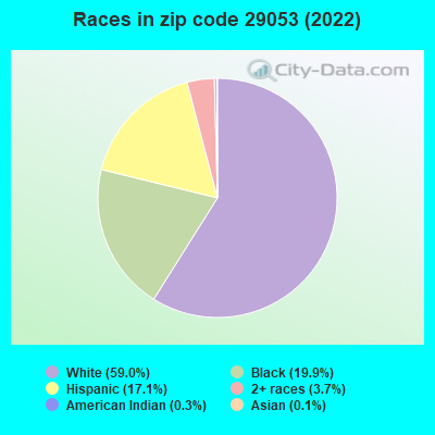 Races in zip code 29053 (2022)