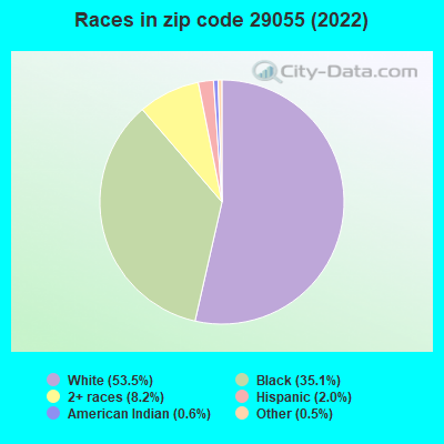 Races in zip code 29055 (2022)