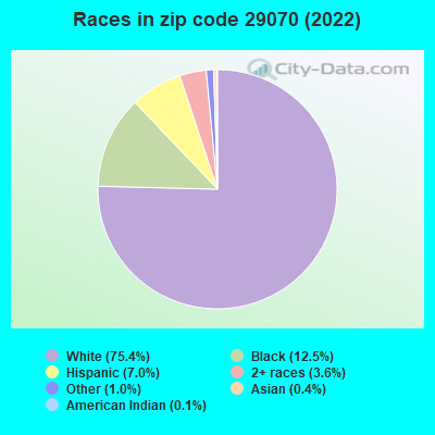 Races in zip code 29070 (2022)