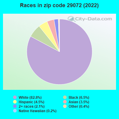 Races in zip code 29072 (2022)