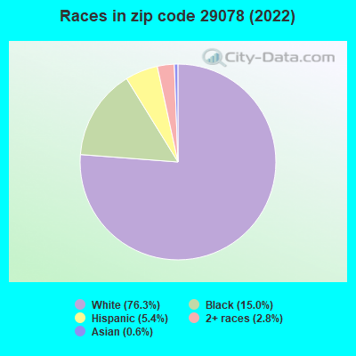 Races in zip code 29078 (2022)