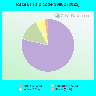 Races in zip code 29082 (2022)