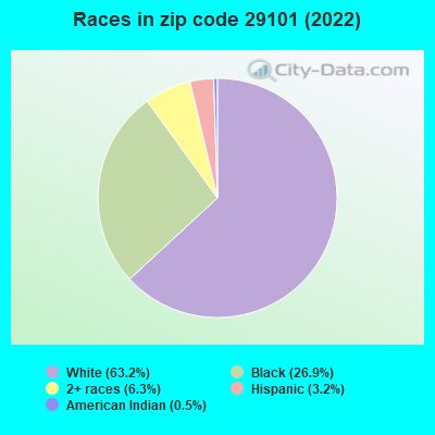 Races in zip code 29101 (2022)