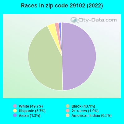 Races in zip code 29102 (2022)