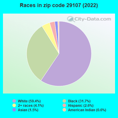 Races in zip code 29107 (2022)