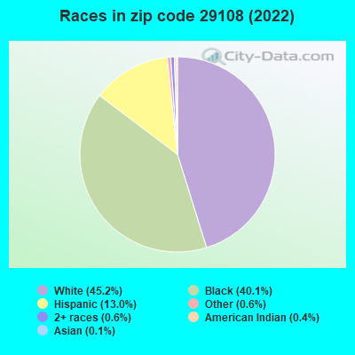 Races in zip code 29108 (2022)