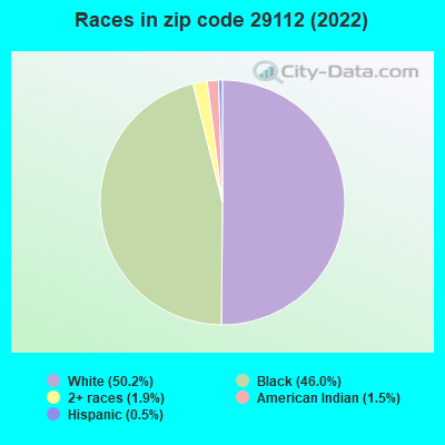 Races in zip code 29112 (2022)