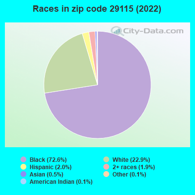 Races in zip code 29115 (2022)