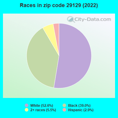 Races in zip code 29129 (2022)