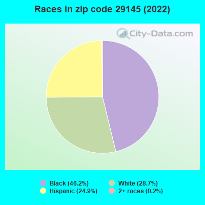 Races in zip code 29145 (2022)