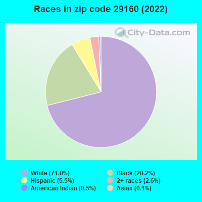 Races in zip code 29160 (2022)