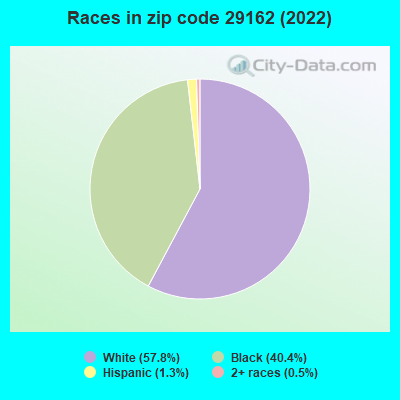 Races in zip code 29162 (2022)