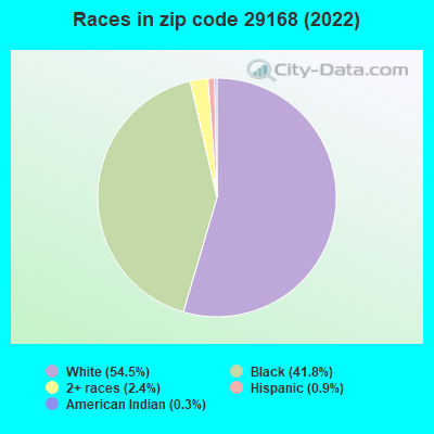 Races in zip code 29168 (2022)