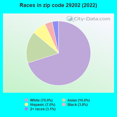 Races in zip code 29202 (2022)