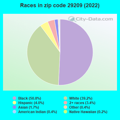 Races in zip code 29209 (2022)