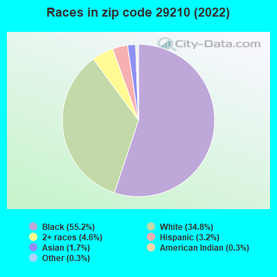 Races in zip code 29210 (2022)