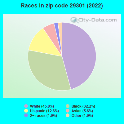 Races in zip code 29301 (2022)