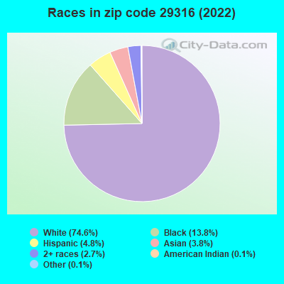 Races in zip code 29316 (2022)