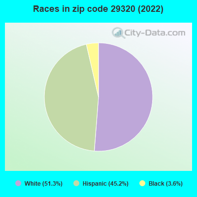 Races in zip code 29320 (2022)