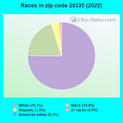 Races in zip code 29335 (2022)