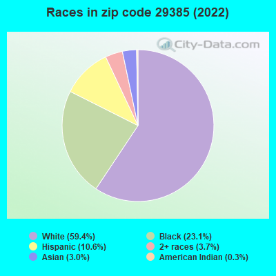 Races in zip code 29385 (2022)