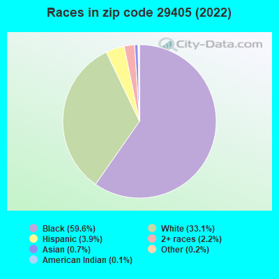 Races in zip code 29405 (2022)