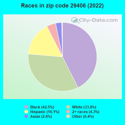 Races in zip code 29406 (2022)