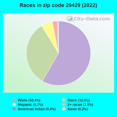 Races in zip code 29429 (2022)