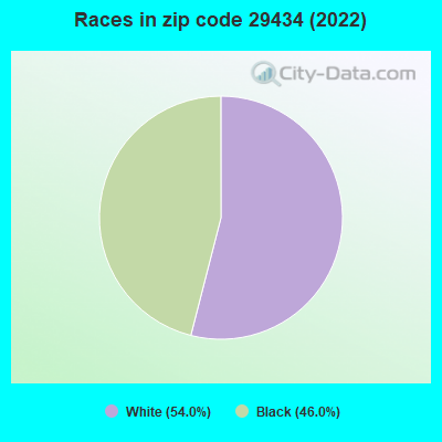 Races in zip code 29434 (2022)