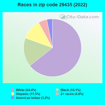 Races in zip code 29435 (2022)