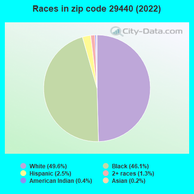 Races in zip code 29440 (2022)
