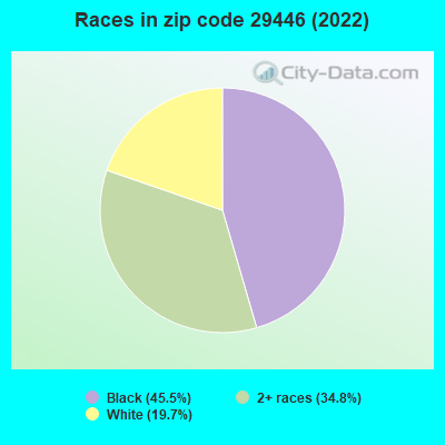 Races in zip code 29446 (2022)