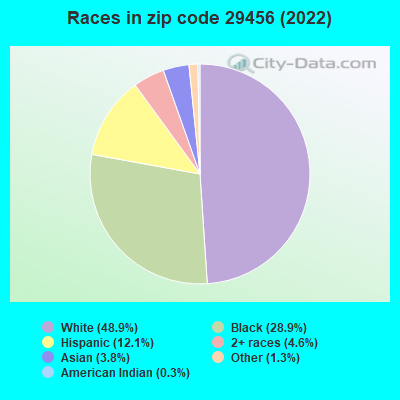 Races in zip code 29456 (2022)