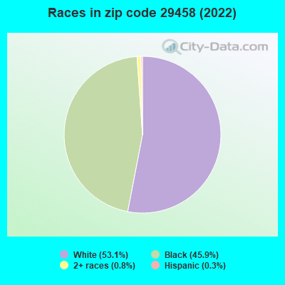 Races in zip code 29458 (2022)