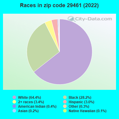 Races in zip code 29461 (2022)