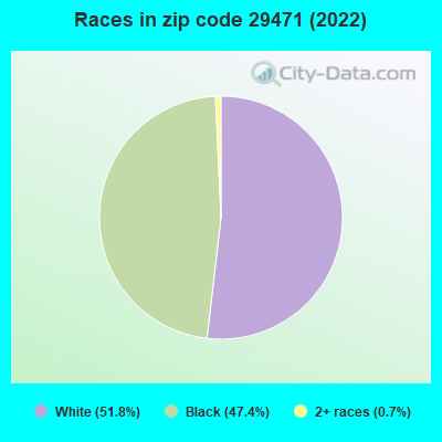 Races in zip code 29471 (2022)