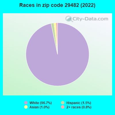 Races in zip code 29482 (2022)