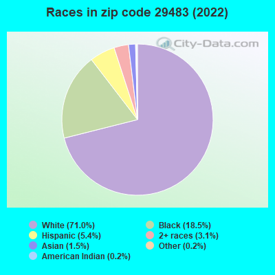 Races in zip code 29483 (2022)