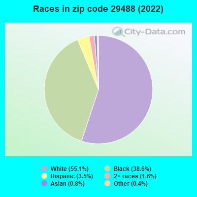 Races in zip code 29488 (2022)