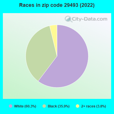 Races in zip code 29493 (2022)