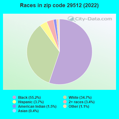 Races in zip code 29512 (2022)