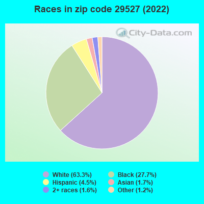 Races in zip code 29527 (2022)