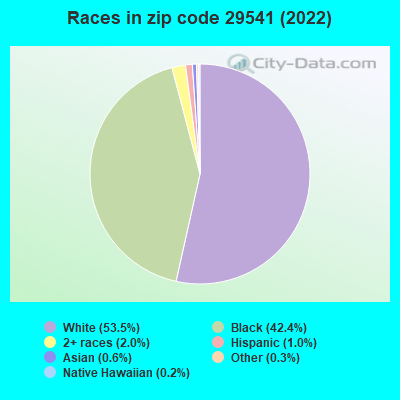 Races in zip code 29541 (2022)