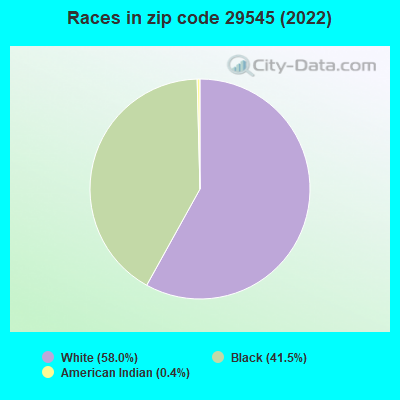Races in zip code 29545 (2022)