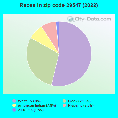 Races in zip code 29547 (2022)