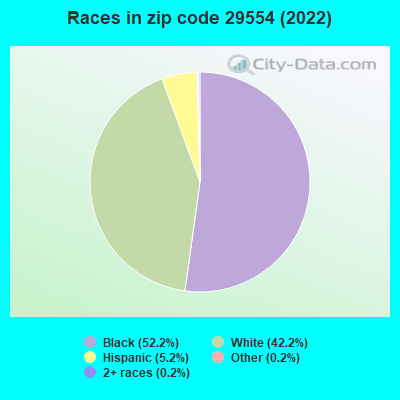 Races in zip code 29554 (2022)