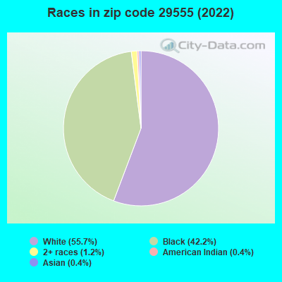 Races in zip code 29555 (2022)