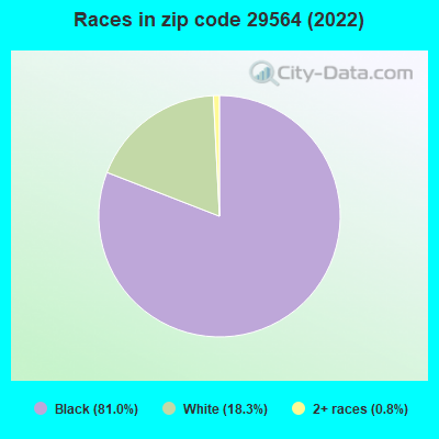 Races in zip code 29564 (2022)