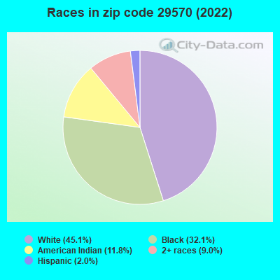 Races in zip code 29570 (2022)