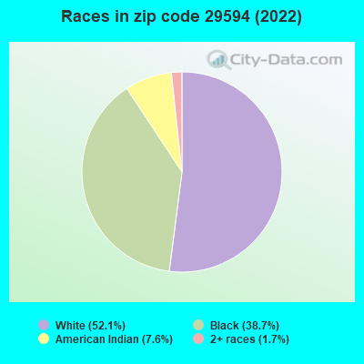 Races in zip code 29594 (2022)